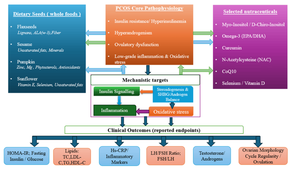 Conceptual framework of dietary seeds and selected nutraceuticals in PCOS