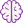 brain