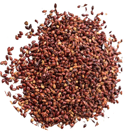 Ragi Millets