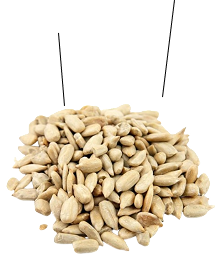 Sunflower seeds